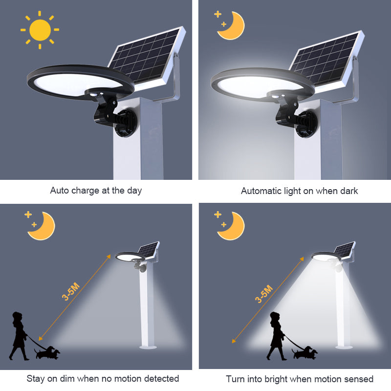 56Leds Rotatable Solar Led Motion Wall Light with external solar panel