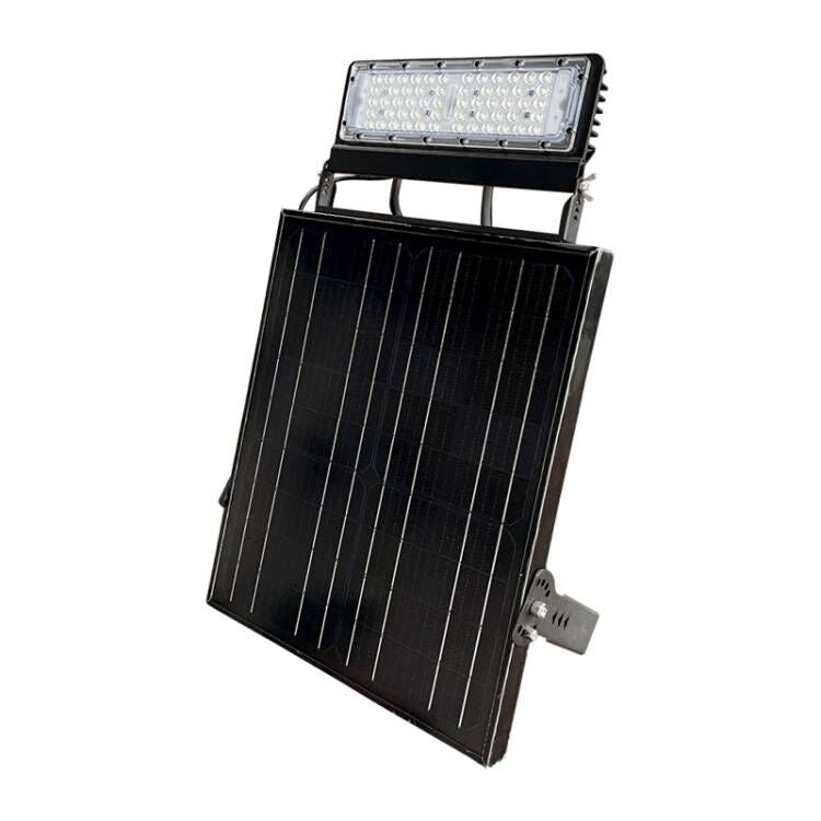 EV-SG-106 panel with lamp head above