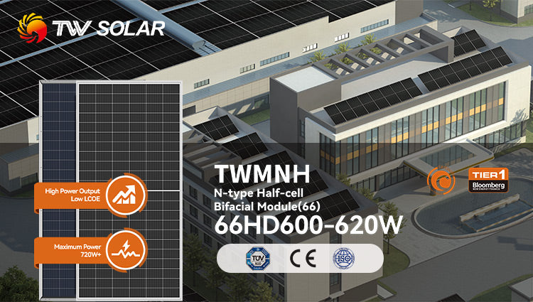 TWV Solar TWMNH N-Type Half-cell Bifacial Module 66HD 600-620W