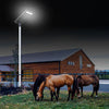 60W Bifacial All-in-One Solar Street Light