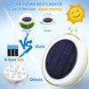 AI Smart Control RGBW Solar Swimming Pool Floating Light