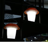 EV-HL-101 two lanterns hanging at night