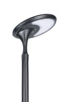 Side view of EV-PZ-102 oval light head on pole
