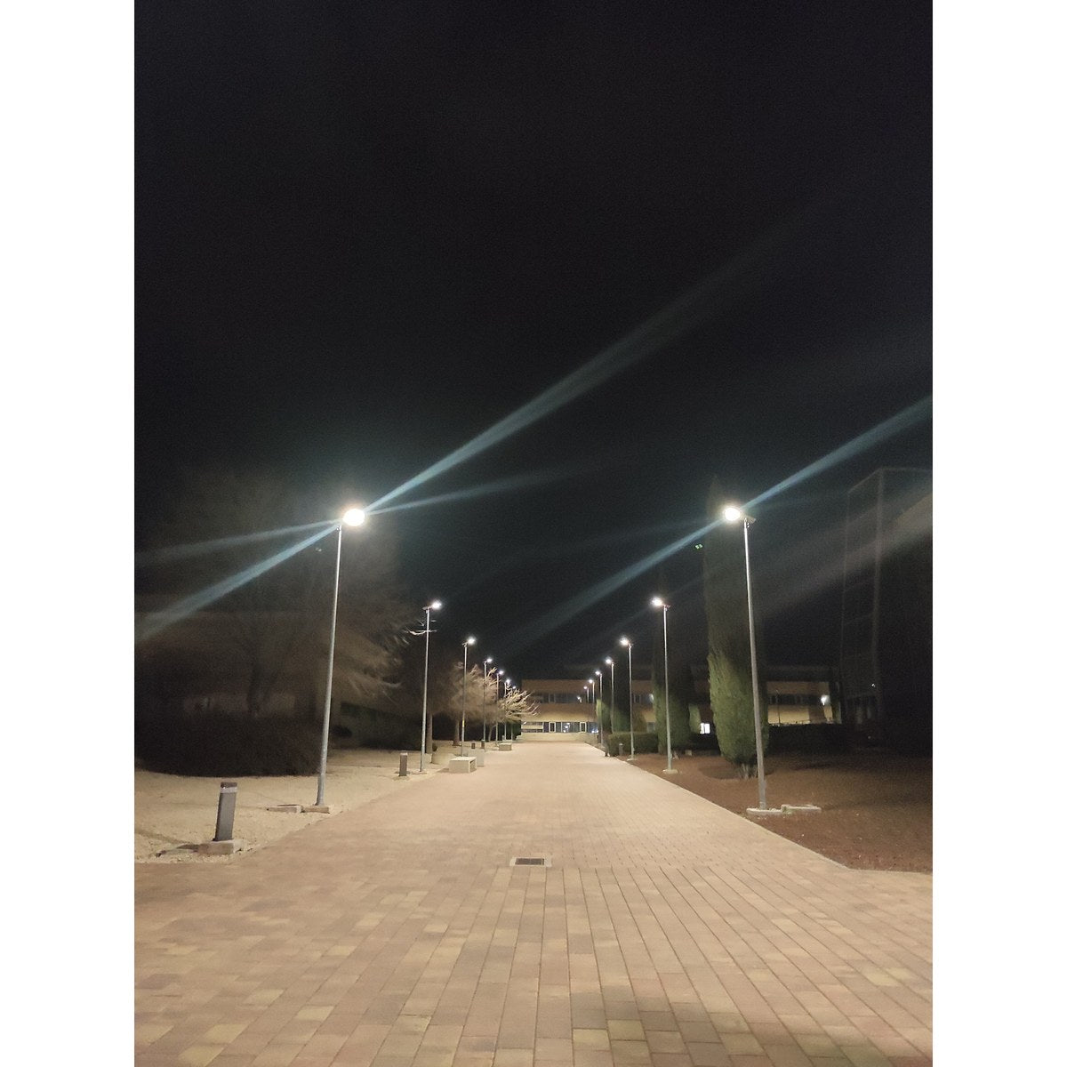 100W solar street light with bifacial solar panel and adjustable bracket