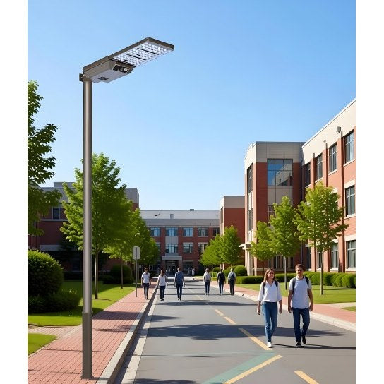 40W dual colour temperature solar street light with remote control