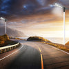 EVIEKO solar street lights along a coastal road