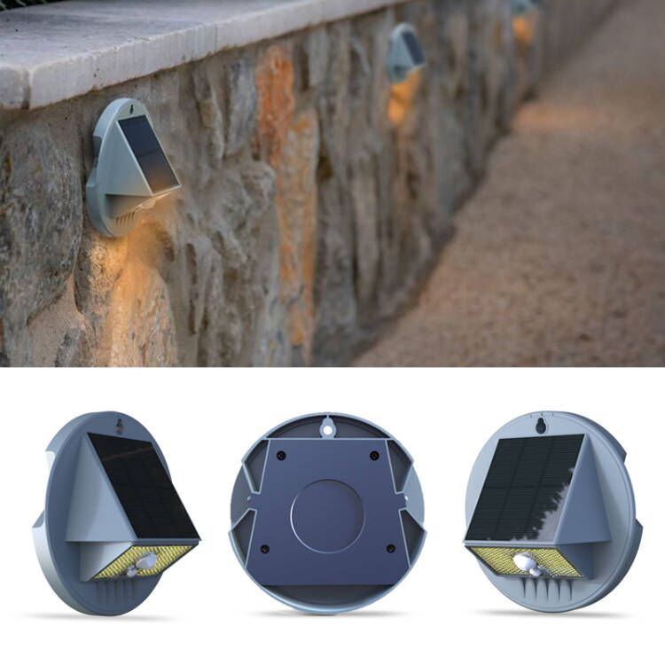 EV-WL-107 on a stone wall – front and back