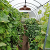 Wood-grain solar pendant light hanging in a gazebo with external solar panel